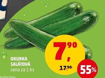 Penny Market OKURKA SALÁTOVÁ nabídka