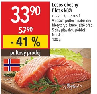 Globus Losos obecný filet s kůží nabídka