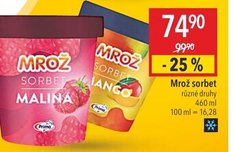 Globus Mrož sorbet nabídka