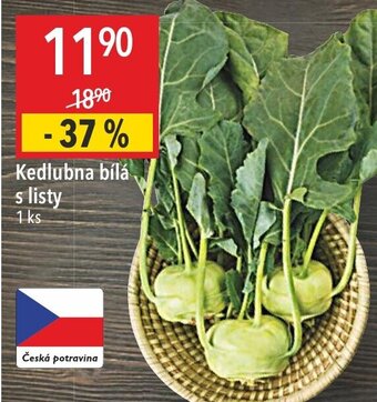 Globus Kedlubna bílá s listy nabídka