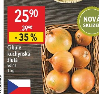 Globus Cibule kuchyňská žlutá nabídka