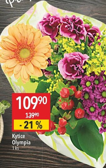 Globus Kytice Olympia nabídka