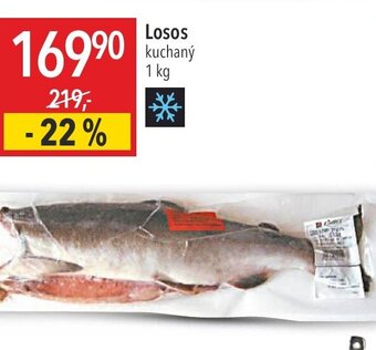 Globus Losos nabídka