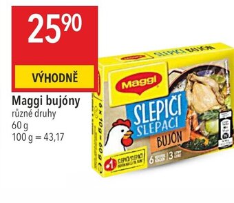 Globus Maggi bujóny nabídka