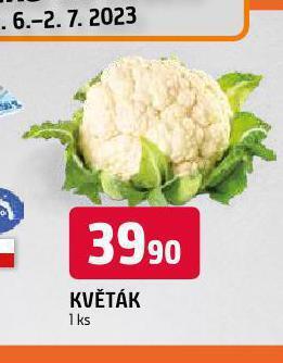 Terno Květák nabídka