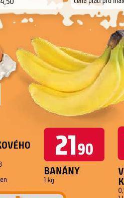 Terno Banány nabídka