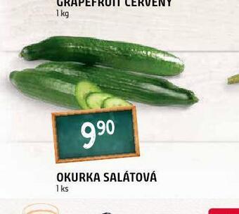 Terno Okurka salátová nabídka