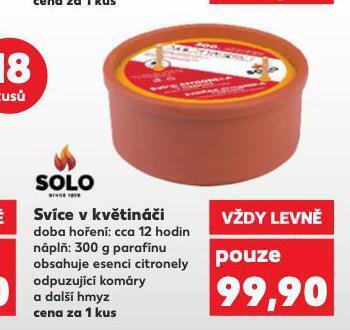 Kaufland Svíce v květináči nabídka
