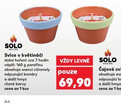 Kaufland Svíce v květináči nabídka