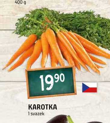 Terno Karotka 1 svazek nabídka