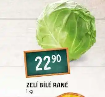 Terno Zelí bílé rané 1 kg nabídka