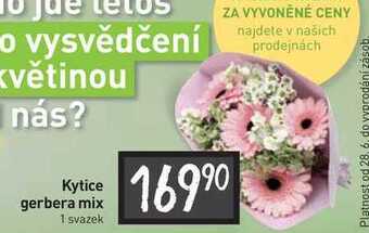 Billa Kytice gerbera mix 1 svazek nabídka