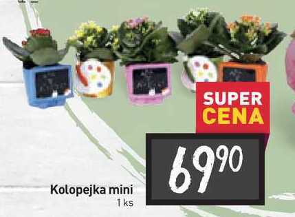 Billa Kolopejka mini 1 ks nabídka