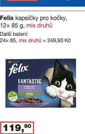 Felix kapsičky pro kočky, 12x 85 g,