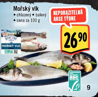 Albert Mořský vlk nabídka