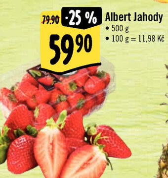 Albert Albert Jahody nabídka