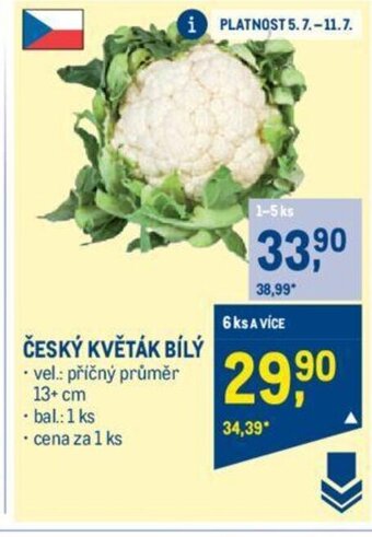 Makro ČESKÝ KVĚTÁK BÍLÝ nabídka