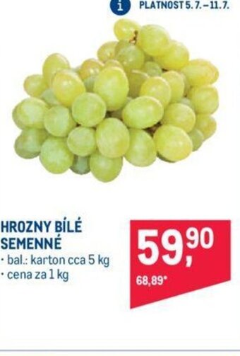 Makro HROZNY BÍLÉ SEMENNÉ nabídka