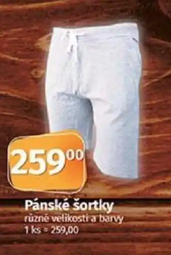 Pánské šortky