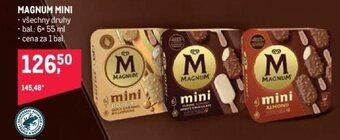 Makro MAGNUM MINI nabídka