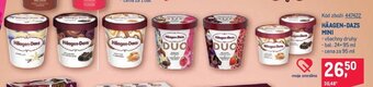 Makro HÄAGEN-DAZS MINI nabídka