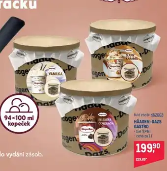 Makro HÄAGEN-DAZS GASTRO nabídka