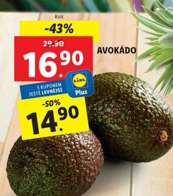 Lidl AVOKÁDO nabídka