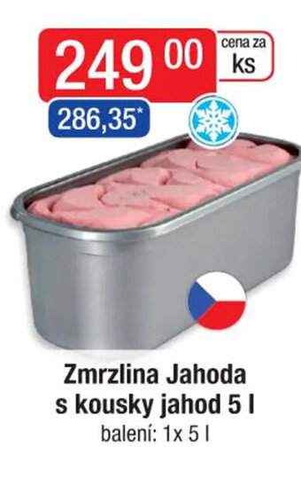 Qanto Zmrzlina Jahoda s kousky jahod 5L nabídka