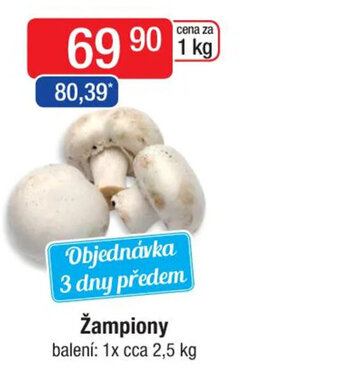 Qanto Žampiony nabídka