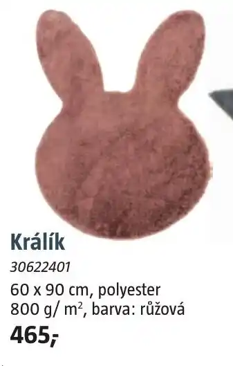 Králík