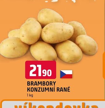 Terno BRAMBORY KONZUMNÍ RANÉ nabídka