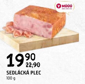 Terno SEDLÁCKÁ PLEC 100 g nabídka