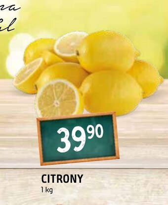 Terno CITRONY nabídka