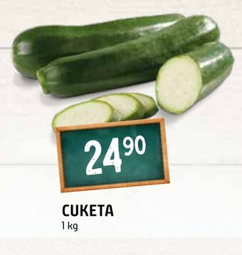 Terno CUKETA nabídka