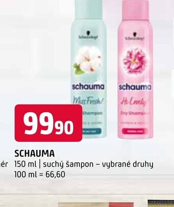 Terno SCHAUMA nabídka