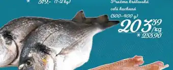 Jip Pražma královská celá kuchaná nabídka