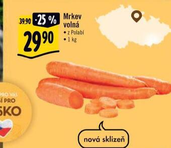 Albert Mrkev volná nabídka