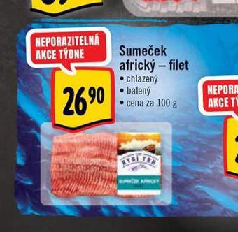 Albert Sumeček africký nabídka