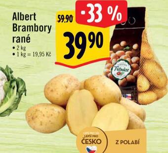 Albert Brambory rané nabídka