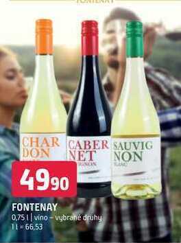 Terno Fontenay 0,75 l nabídka