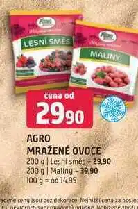 Terno Agro mražené ovoce 200 g nabídka