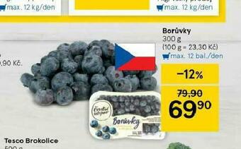 Tesco Borůvky nabídka