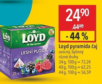 Globus Loyd pyramida čaj nabídka