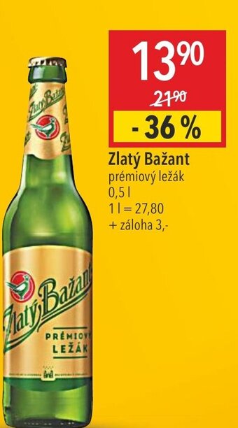 Globus Zlatý Bažant nabídka