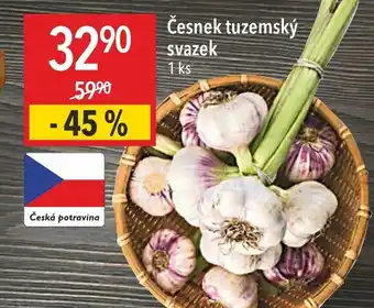 Globus Česnek tuzemský svazek nabídka