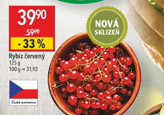 Globus Rybíz červený nabídka