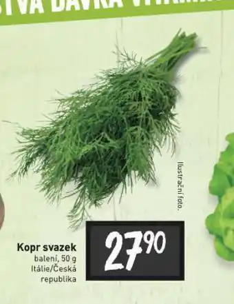 Billa Kopr svazek nabídka