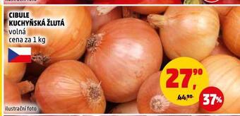 Penny Market Cibule kuchyňská žlutá nabídka