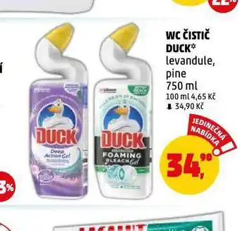 Penny Market Wc čistič duck nabídka