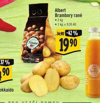 Jip Brambory rané nabídka